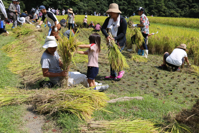 JAありだ組合長賞