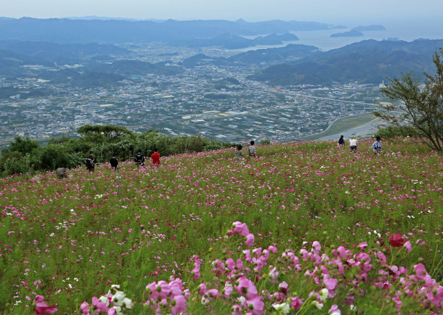 有田川町観光協会会長賞