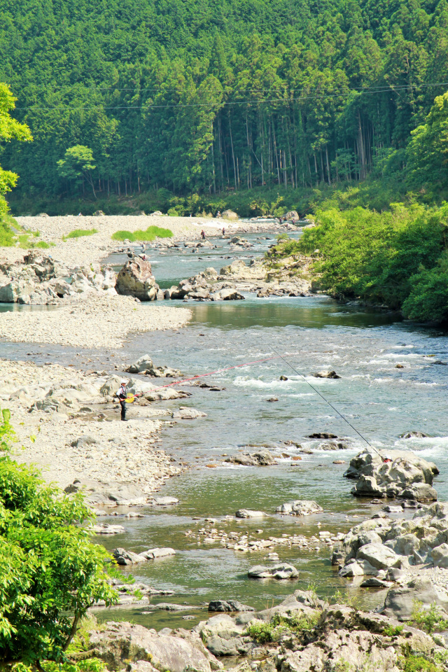 有田川漁業協同組合長賞