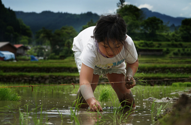 JAありだ組合長賞