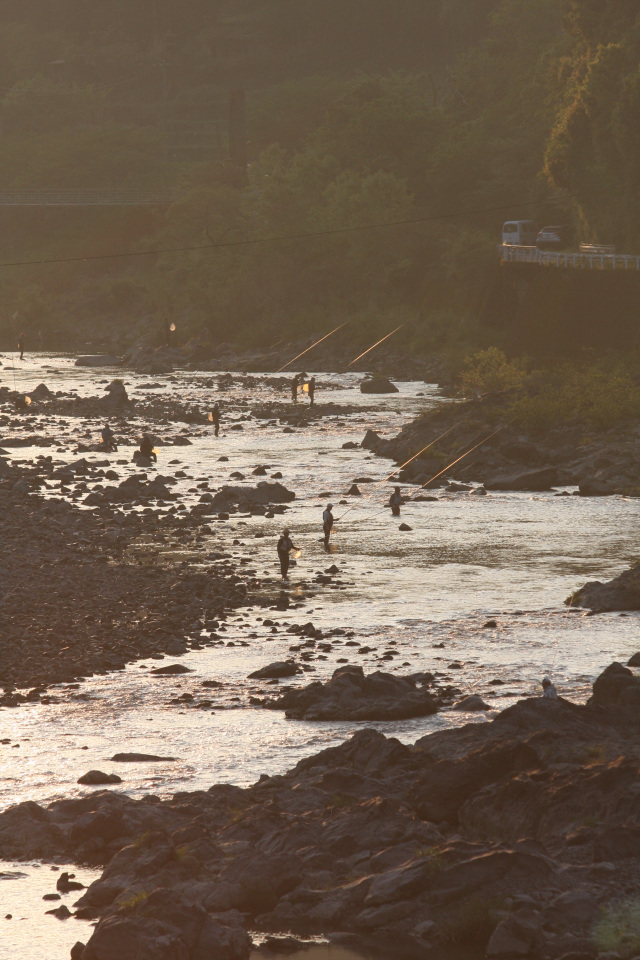 テレビ和歌山賞
