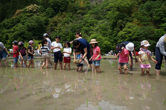 有田川町議会議長賞
