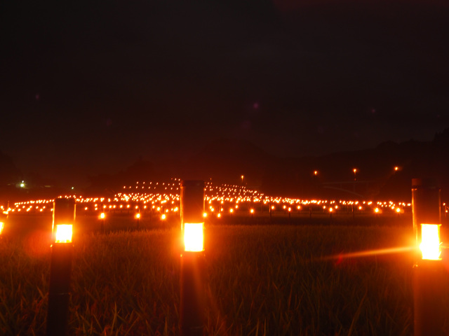 テレビ和歌山賞