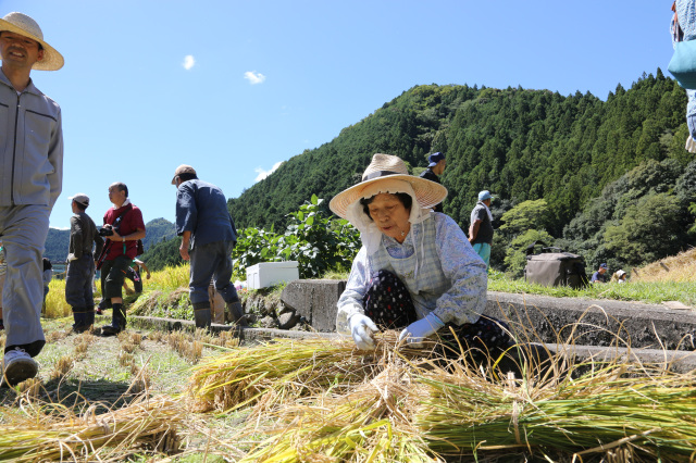 和歌山特報社賞