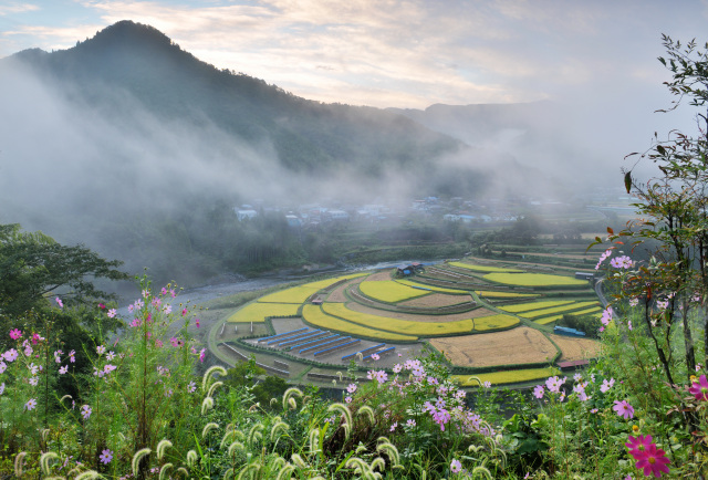 有田川町議会議長賞