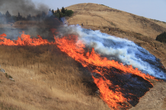 和歌山県観光連盟会長賞