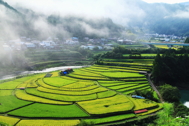 テレビ和歌山賞