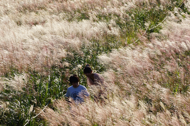 和歌山特報社賞