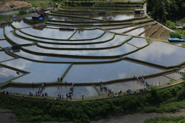 JAありだ組合長賞