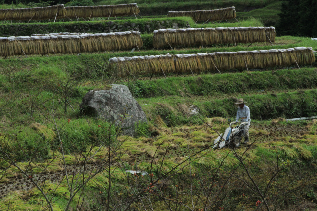 有田川町議会議長賞