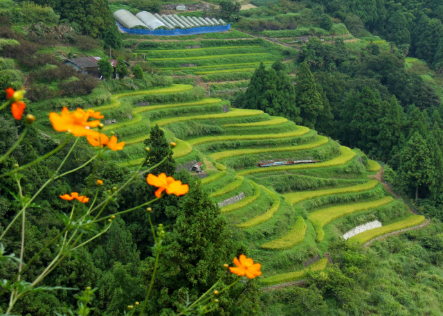 和歌山県観光連盟会長賞