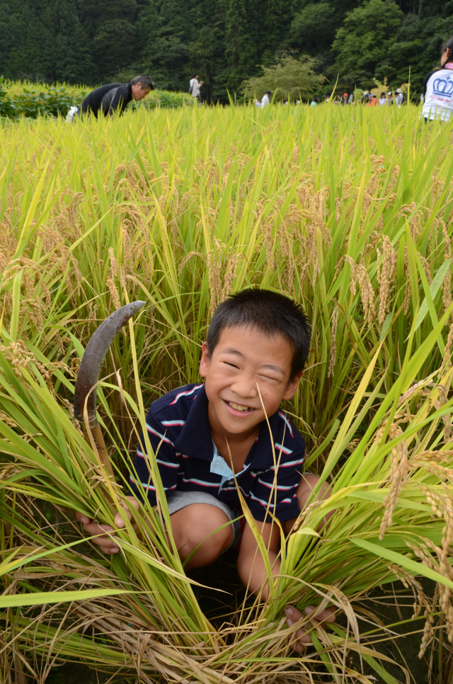 テレビ和歌山賞