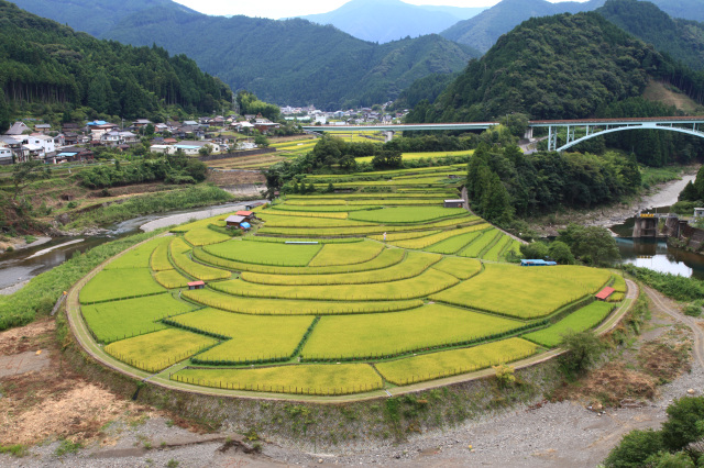 JAありだ組合長賞