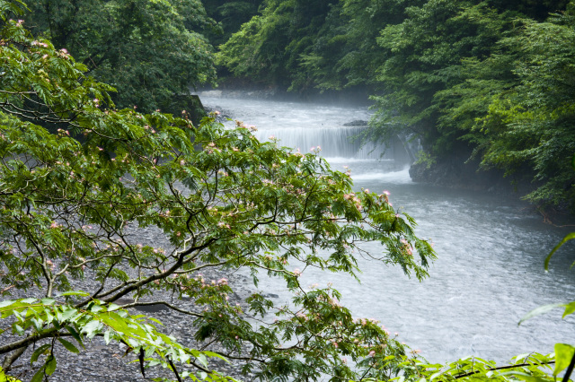有田川漁業協同組合長賞
