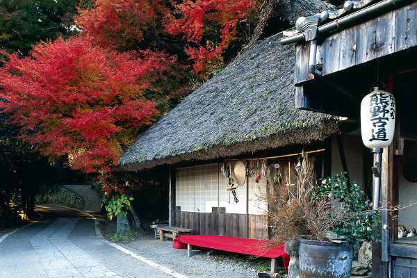 熊野古道中辺路街道マップ