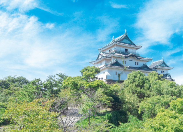 話題の大河ドラマ「豊臣兄弟！」――和歌山に刻まれた兄弟の軌跡