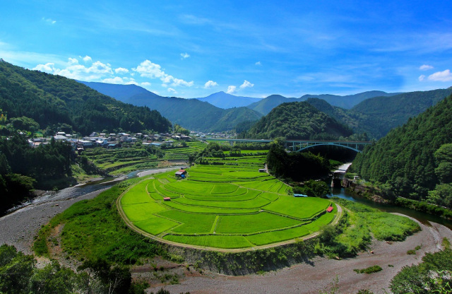 あらぎ島