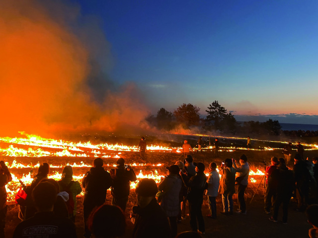 本州最南端の火祭り