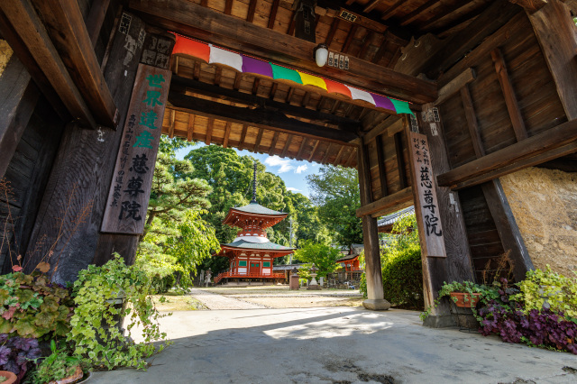 慈尊院
