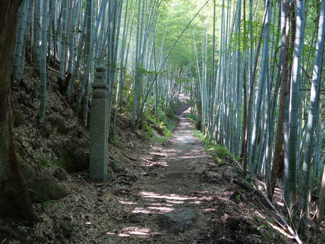 高野山町石道