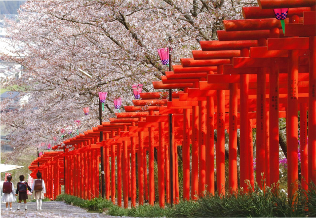 春の花めぐり