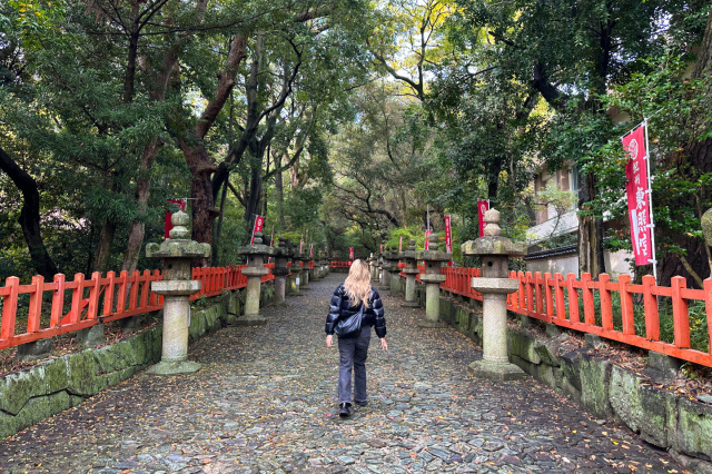 和歌山の歴史と多彩な食を堪能!市街地周辺の贅沢旅プラン
