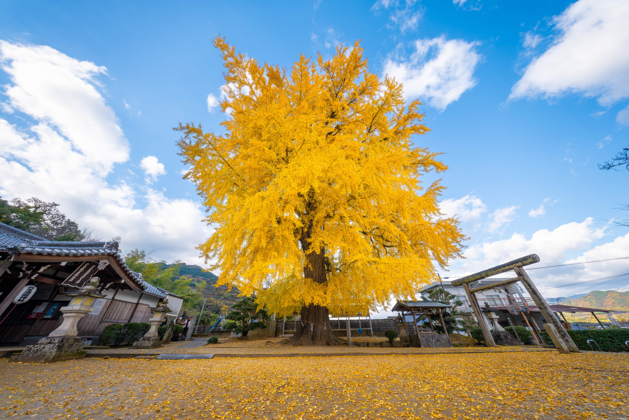 丹生酒殿神社(かつらぎ町)