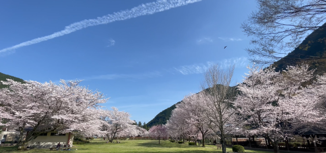 おくとろ公園