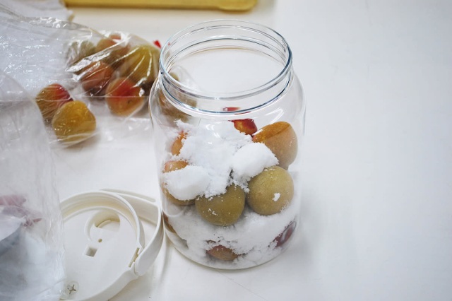 梅ジュース作り体験／（株）岩本食品　ぷらむ工房