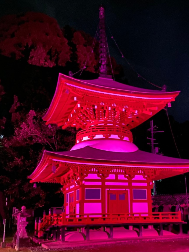 日本遺産「女人高野」ピンクリボンデーイベント 慈尊院多宝塔…