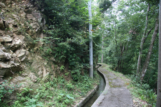 上湯用水路