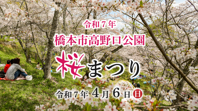 令和7年橋本市高野口公園桜まつり