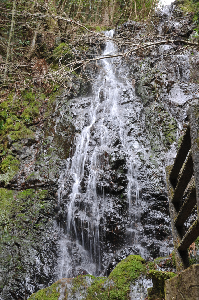 曼陀羅の滝