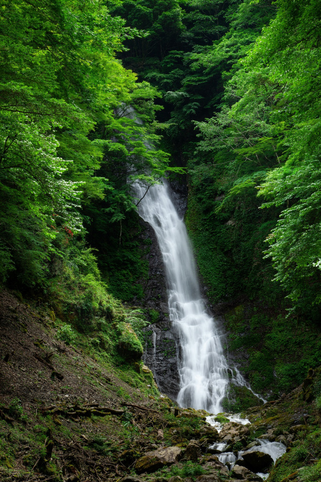 湯川渓谷（さがり滝）