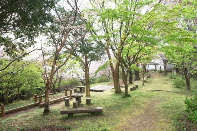 鳥屋城山