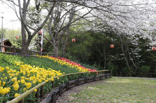 亀池公園