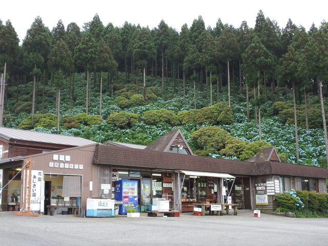 花園あじさい園