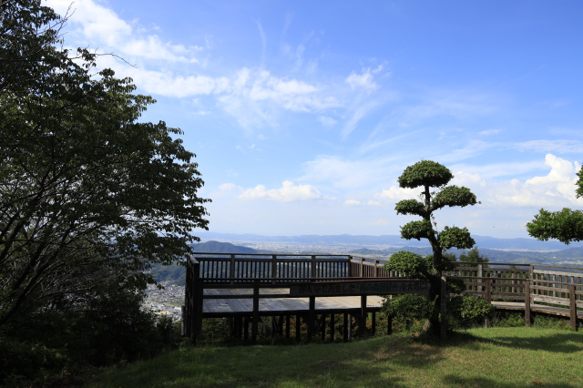 森林公園雨の森