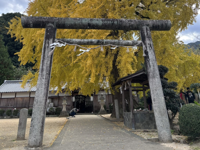 鎌八幡宮