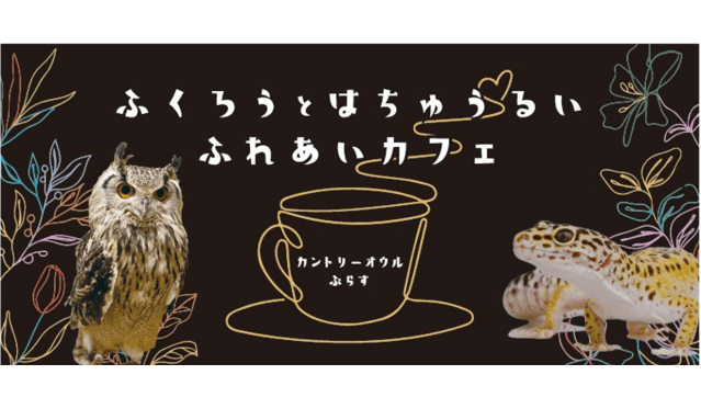 フクロウ＆は虫類との触れ合い体験／カントリーオウルぷらす