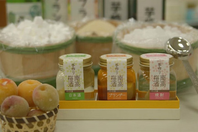 梅酒作り体験／紀州　梅干館