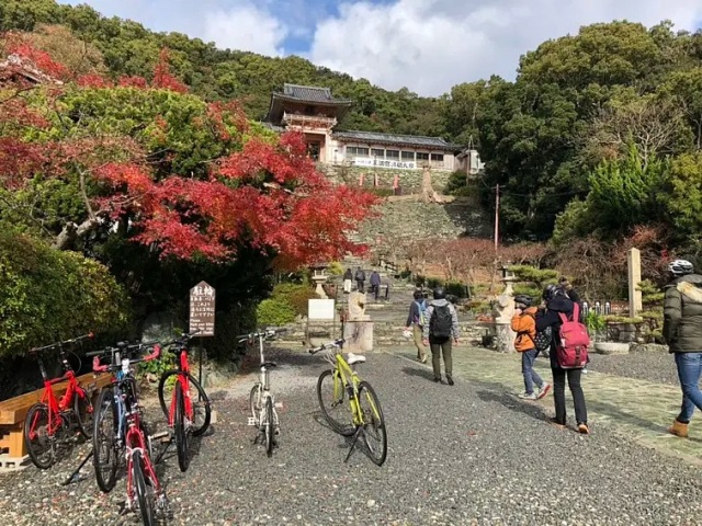 ガイド付き・自転車でめぐるわかやま半日ツアー～日本遺産・和…