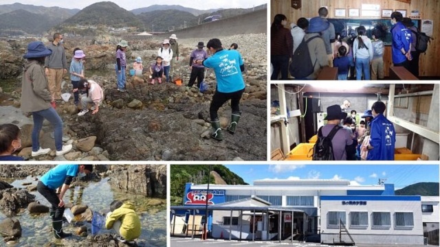 エビとカニの水族館（バックヤード）と磯観察（学芸員同行）／…