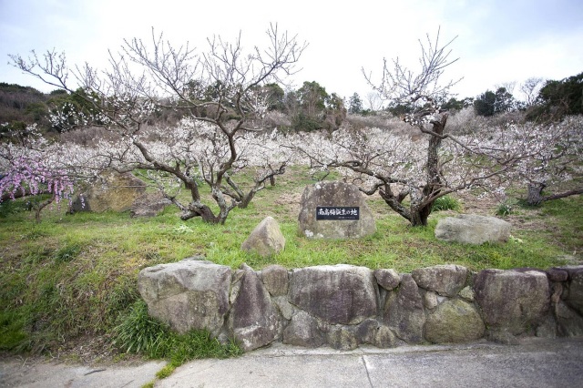 園内の施設ご案内／(有)紀州高田果園