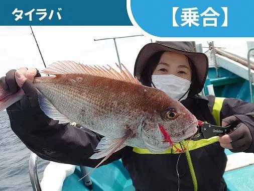 タイやハタ類が狙える！タイラバ（乗合）／マリンクラブスサミ…