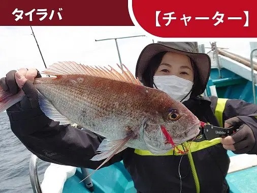 タイやハタ類が狙える！タイラバ（チャーター）／マリンクラブ…