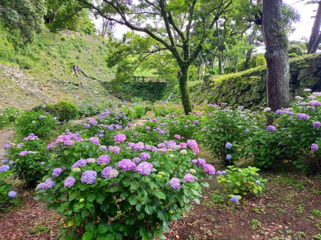 和歌山城 鶴の渓
