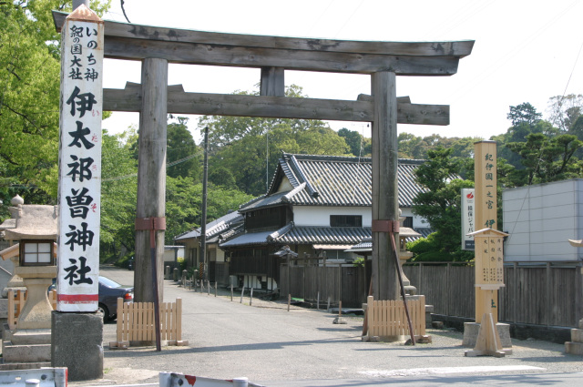 茅輪祭（輪くぐり）