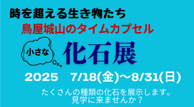 小さな化石展