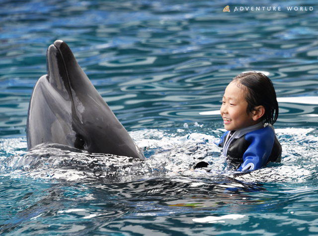 アドベンチャーワールド『Swimming with Dolphin～Deep emotio…